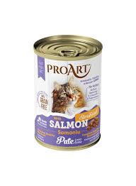 PROART CAT TIN SALMON STERILISED 400G