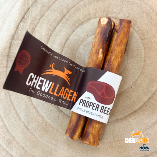 Chewllagen medium Beef Roll 2PC