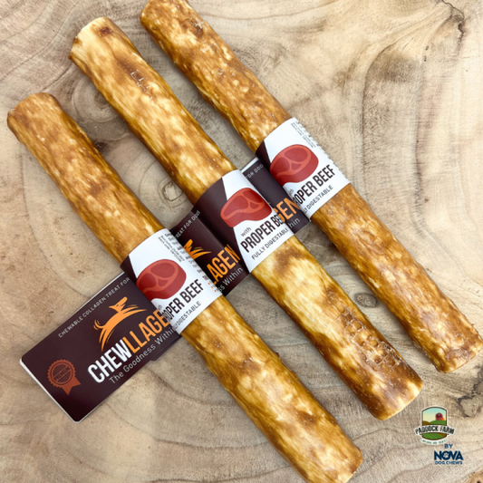 Chewllagen Chew Beef Roll 10' 1PC