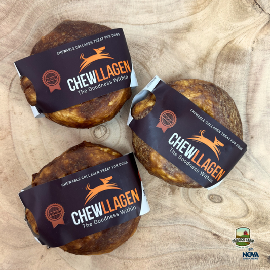 Chewllagen Chew Beef Small Donut 3.5'