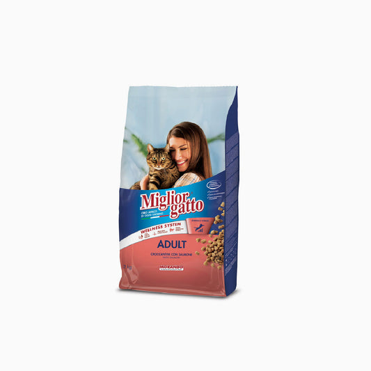 Miglior Gatto Dry Salmon & Herring 2kg