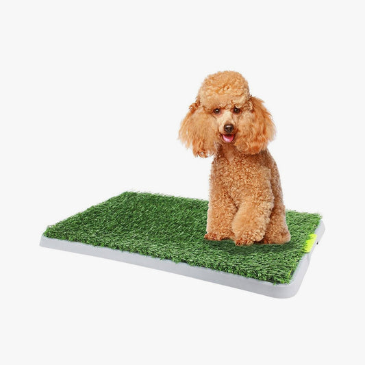 Green Trainer 43X68.5Cm