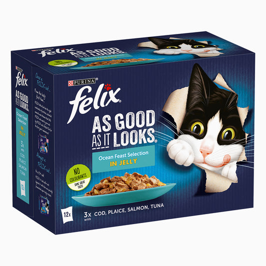 Felix Agail Fish 12 X 100G