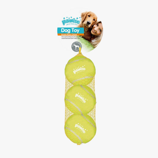 Squeaky Tennis Ball 3Pk