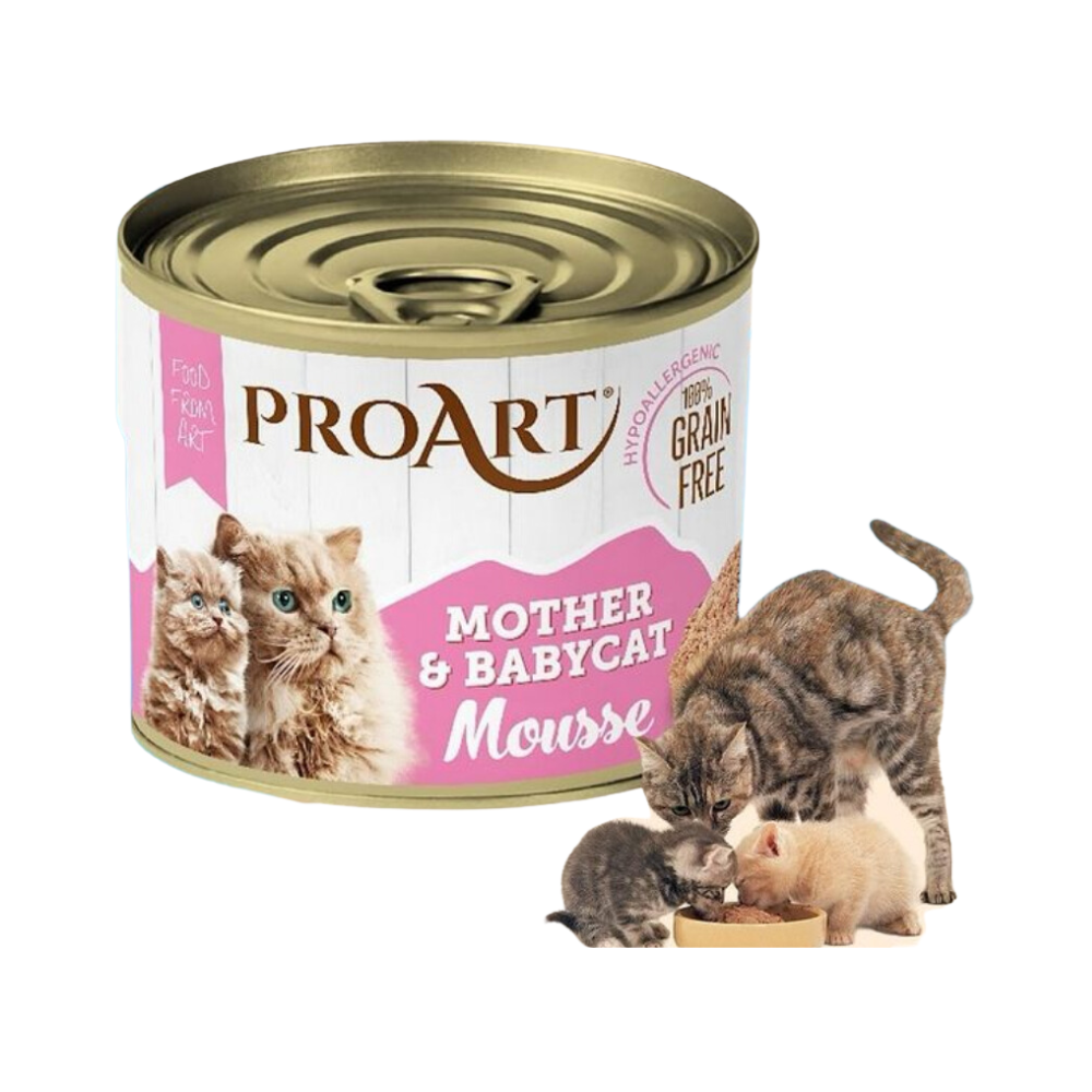 ProArt Mother and Babycat Mousse 80g