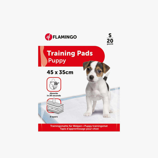 Training Pad Pady S 20Pcs 45X35Cm