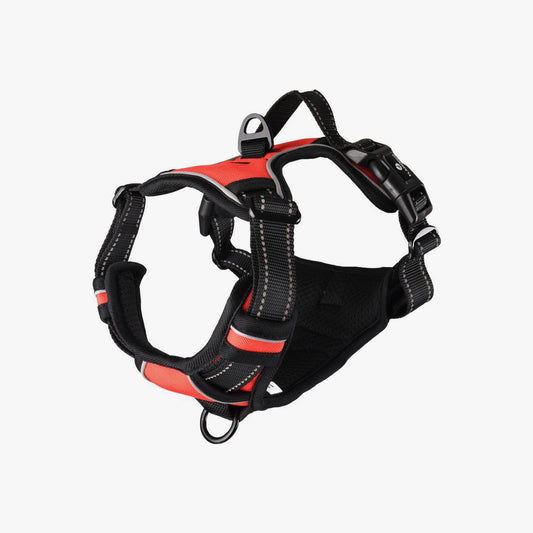 Harness Balou Red M 50-65Cm*25Mm