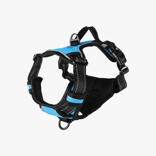 Harness Balou Blue M 50-65Cm*25Mm