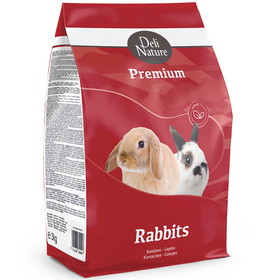 Premium Dwarf Rabbit