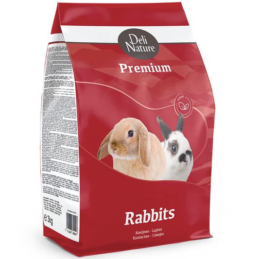 Premium Dwarf Rabbit
