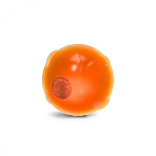 Calm Paws- Anti Anxiety Speaking Ball