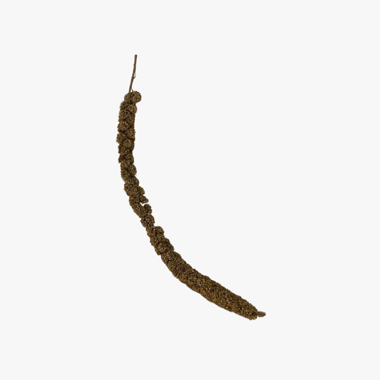 BIRD Millet Spray 1Kg