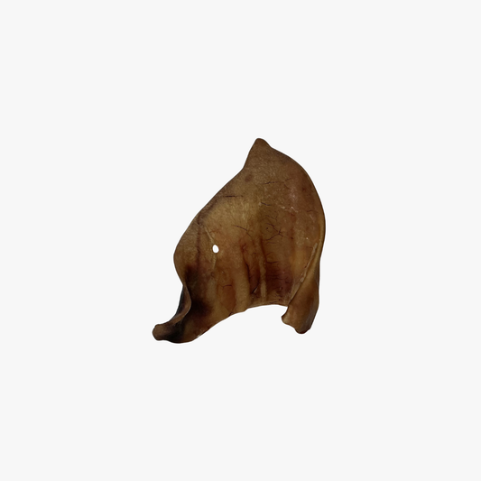 Pig Ears Xl