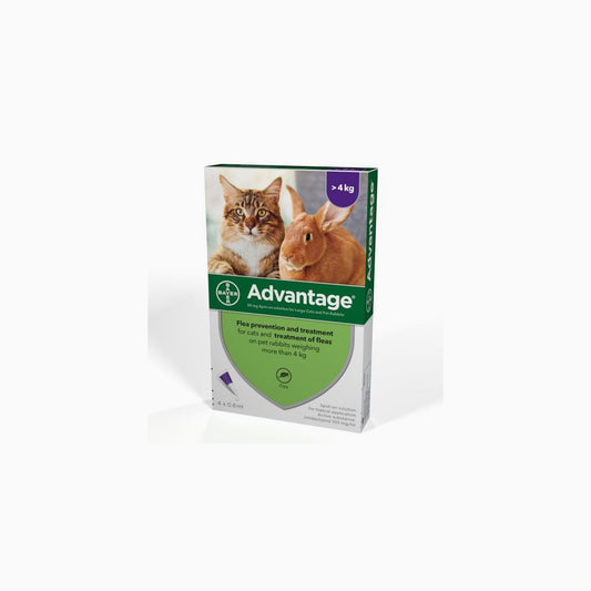 Advantage Cats/Rabb 4Kg+