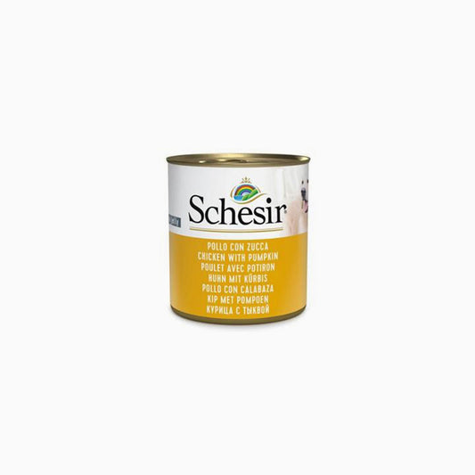 Schesir Chic/Pum 285G
