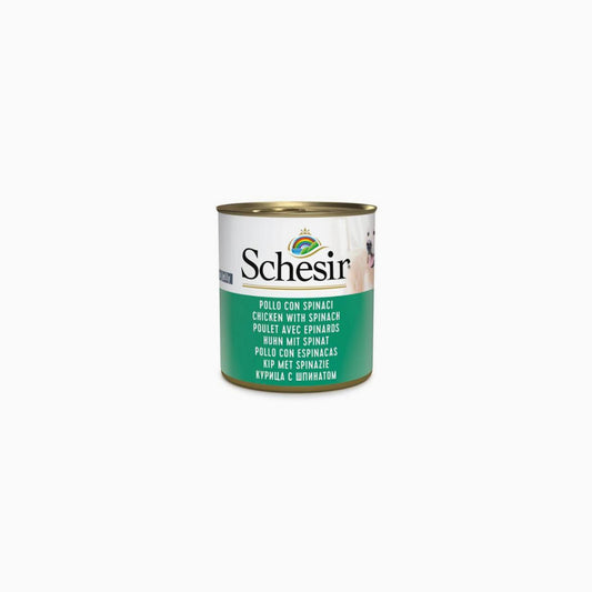 Schesir Chic/Spi 285G