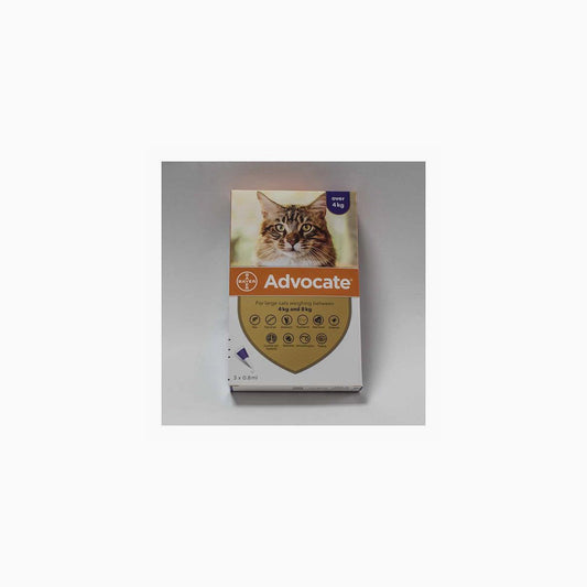 Advocate Spot On Lrg Cat 4-8Kg