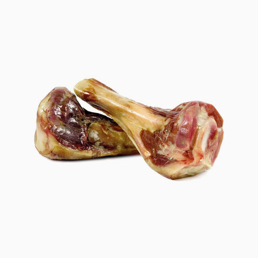 ARQUIVET 2 X Ham Bones