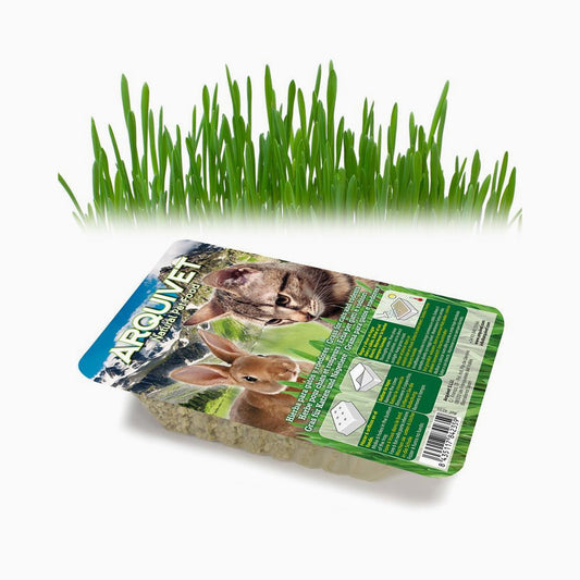ARQUIVET Grass For Cats 100G