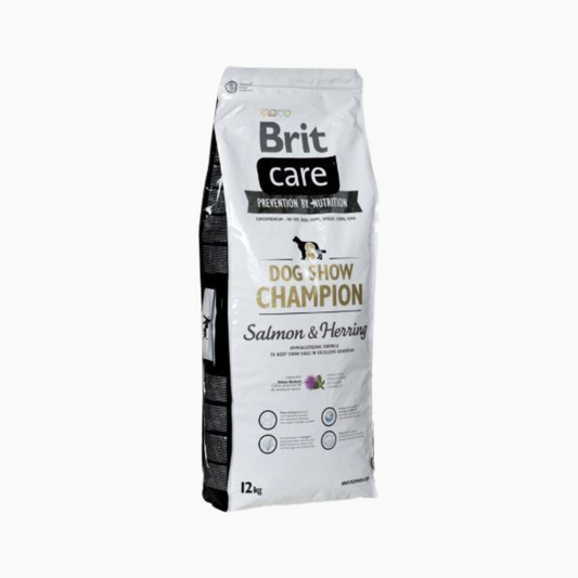 Brit Sp Dog Show Champion 12K