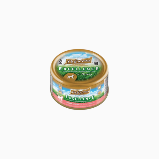 Princess Excellence Chic/Tna/Salm 70G F