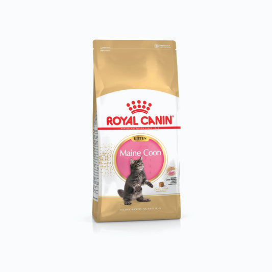 Royal Canin Mainecoon Kitten 2 Kg