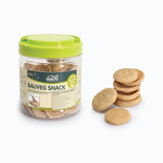 Camon Ae303 Sweet Potato Biscuit 300G