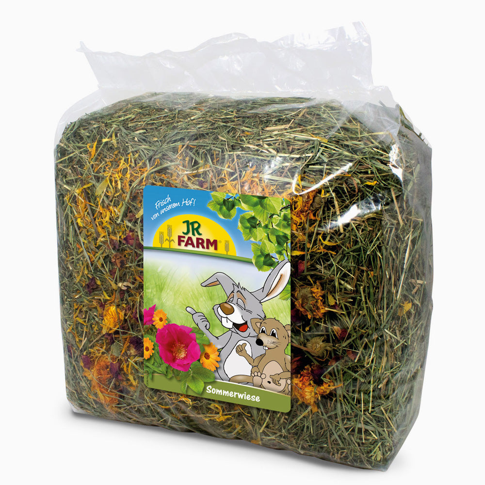 Jr Farm Summer Meadow Hay 500G