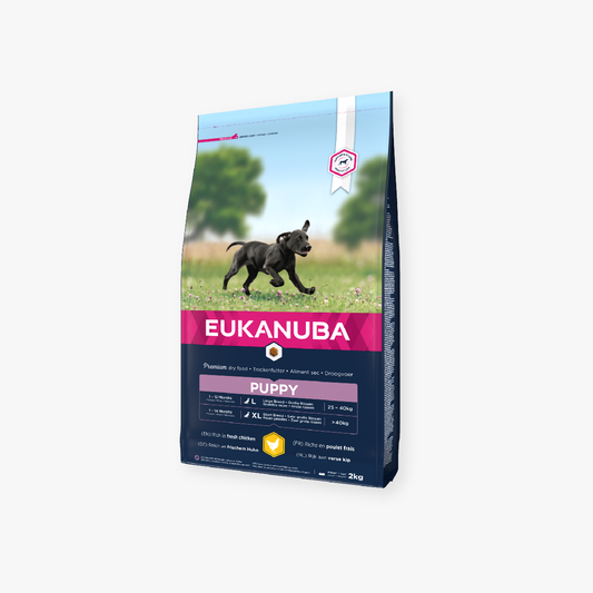Eukanuba Dog Puppy Large Breed Chicken 2kg