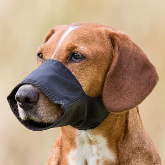 Trixie Muzzle, polyester, XS-S, black