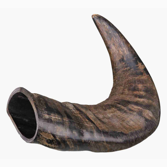 Trixie Genuine buffalo chewing horn, medium