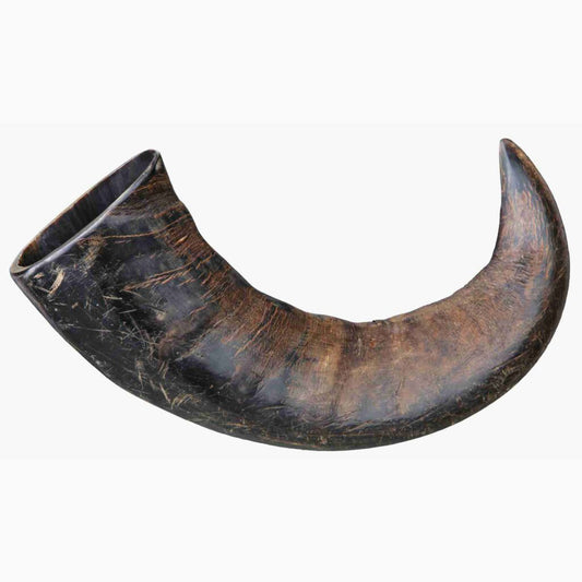 Trixie Genuine buffalo chewing horn, large
