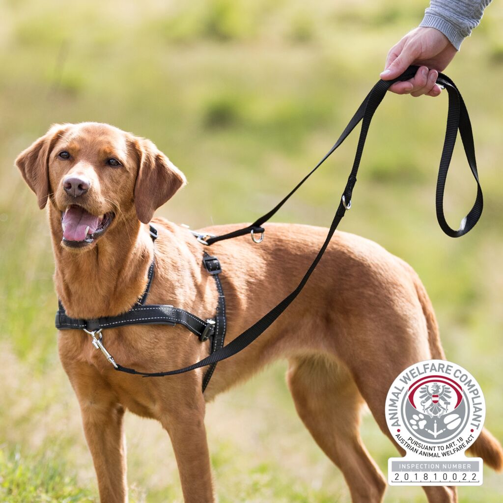 Trixie Lead'n'Walk Soft training harness, M-L: 55-90 cm/25 mm, black