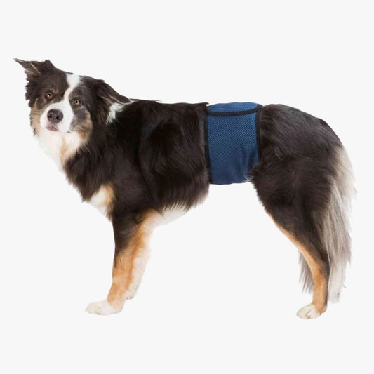 Trixie Belly band for male dogs, dark blue