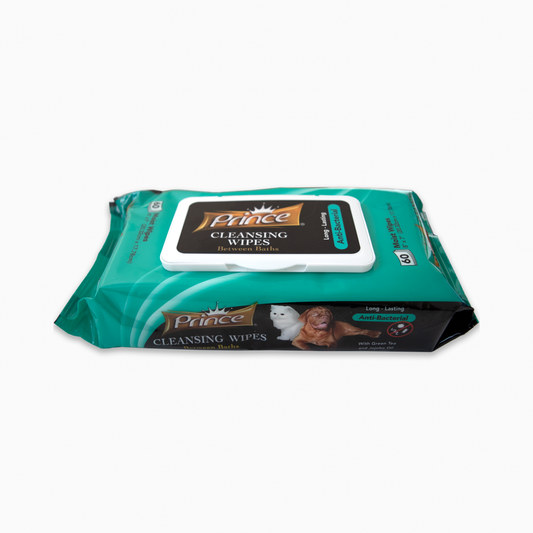 PRINCE Antibacterial Wipes X60