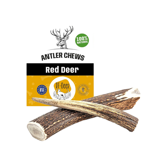 RF DEER Whole Deer Antler Xl