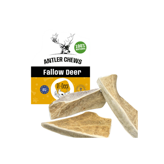 RF DEER Whole Deer Antler S