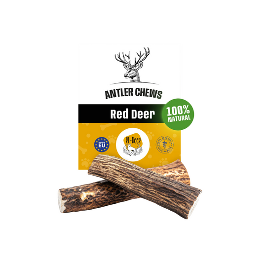 RF DEER Whole Deer Antler L