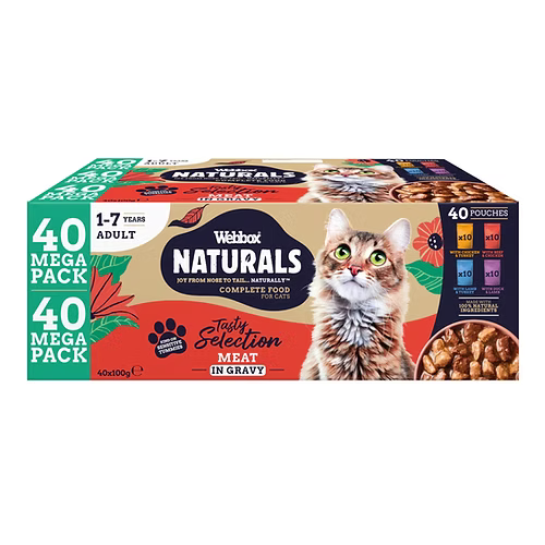 WEEBOX CAT TST MEAT  40X100G POUCH