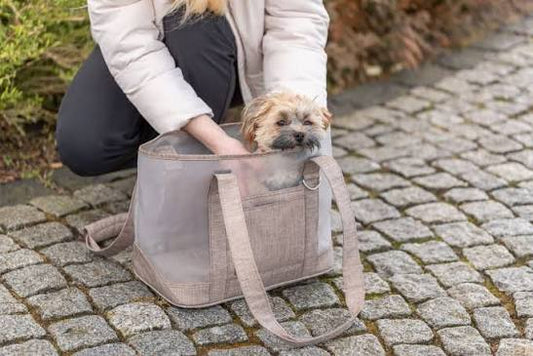Trixie Carrier Mary for Small to Medium Dogs or Cats