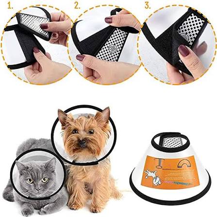 Taotaopets Protective Collar XS