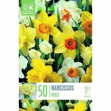 Kapiteyn Narcissus 5 Mixed Bulbs