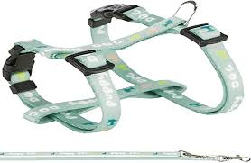 Trixie Junior Puppy Harness with Leash 23-34 cm