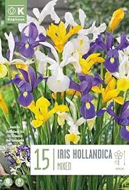 Kapiteyn Iris Hollandica Mixed 15 Bulbs