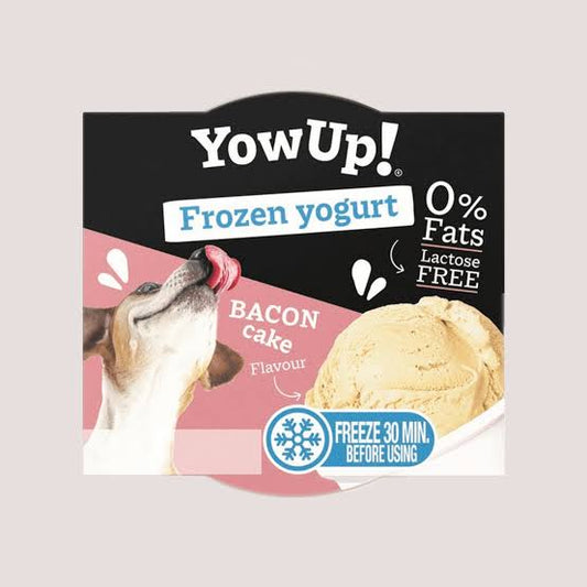 YOW UP! Frozen Yogurt Bacon Cake Flavour