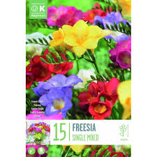 Kapiteyn Freesia Single Mixed 15 Bulbs