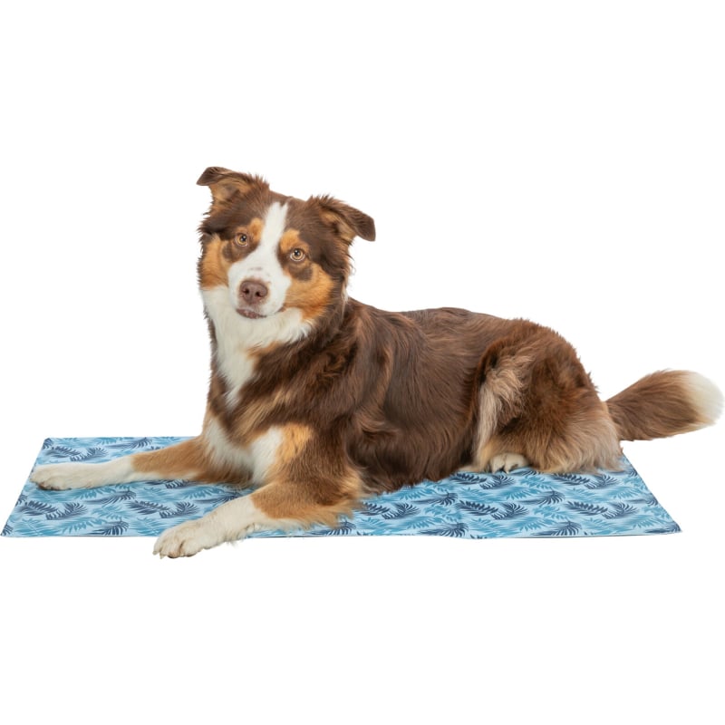 Trixie Cooling Mat Size Large 65 x 50 cm