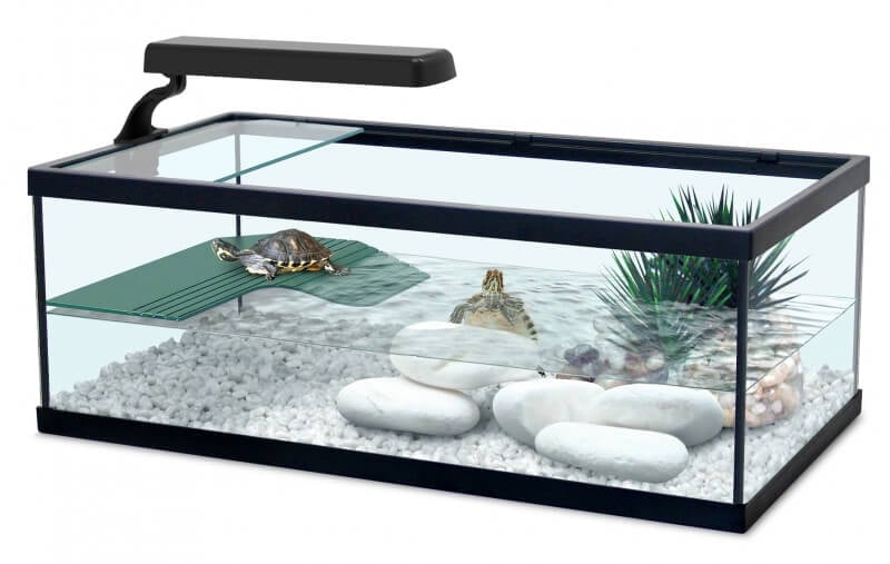 Turtle Tank Tortum 55X29X20 Col.001